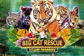 Big Cat Rescue Megaways